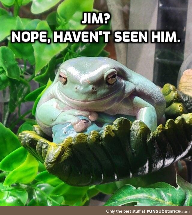 Froggo Fun R #104 - Have You Seen Jim?