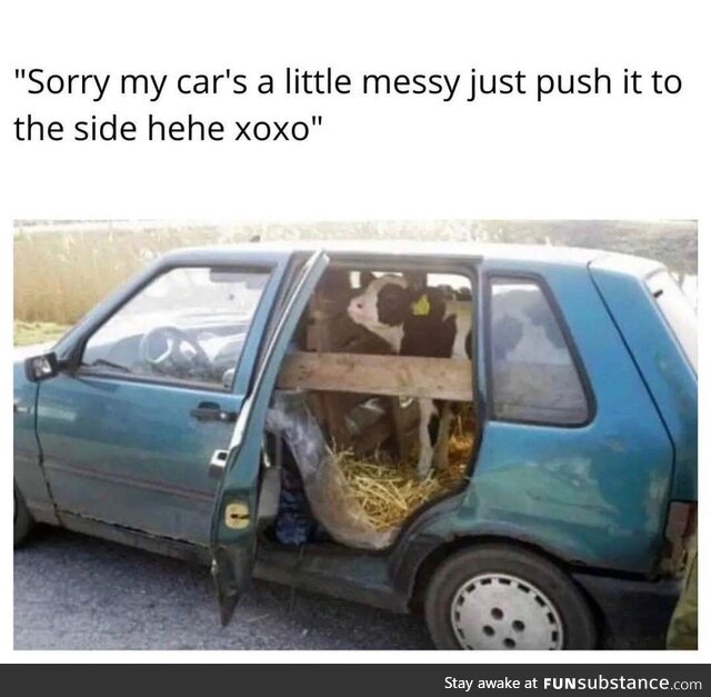 Is it polish?