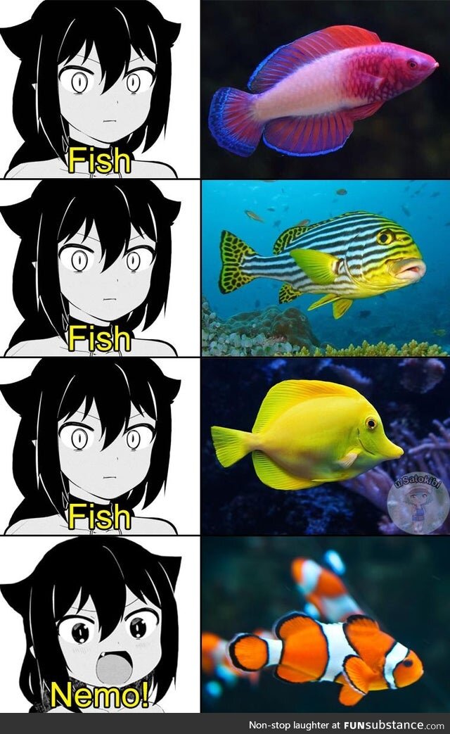 Fish
