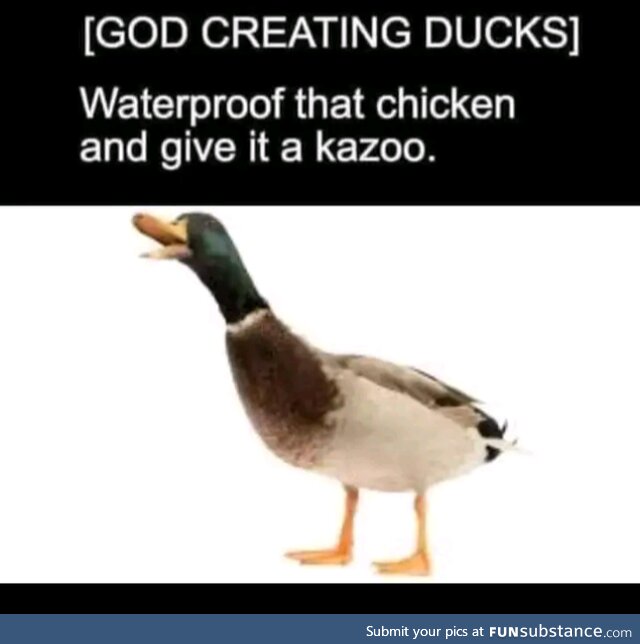 Quack!