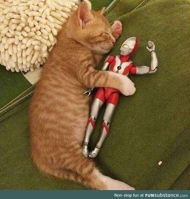 Kitty Appreciates the Classics