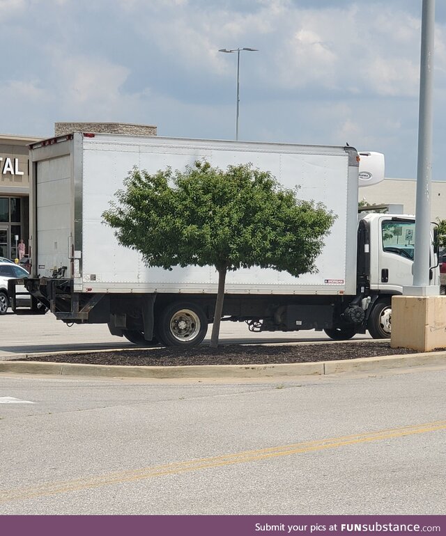 At first glance I thought this truck had a cool realistic tree painted on it