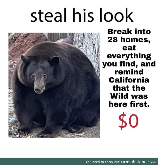 bear