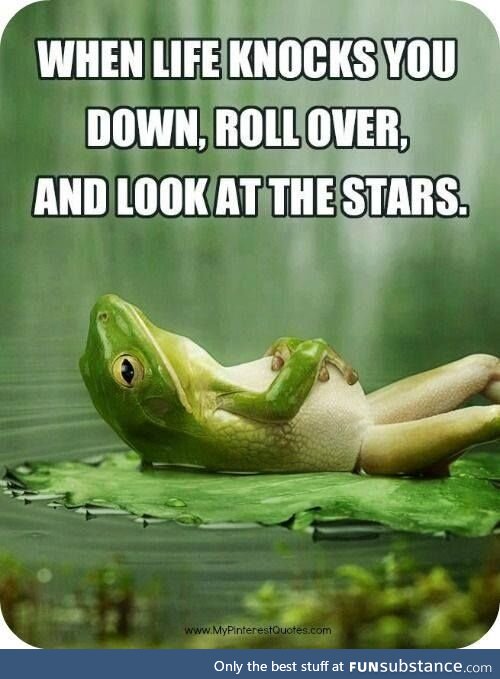 Inspirational frog