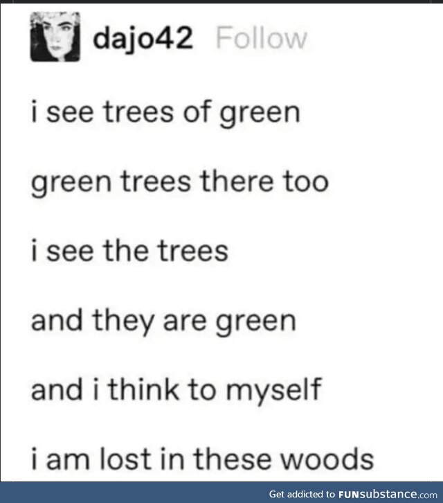 I see something beginning with .. It's a tree!