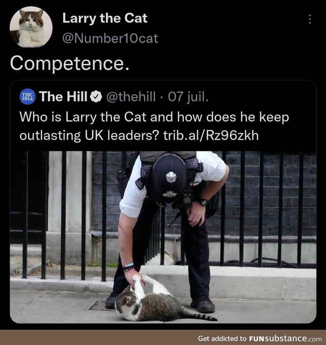 Catch these paws