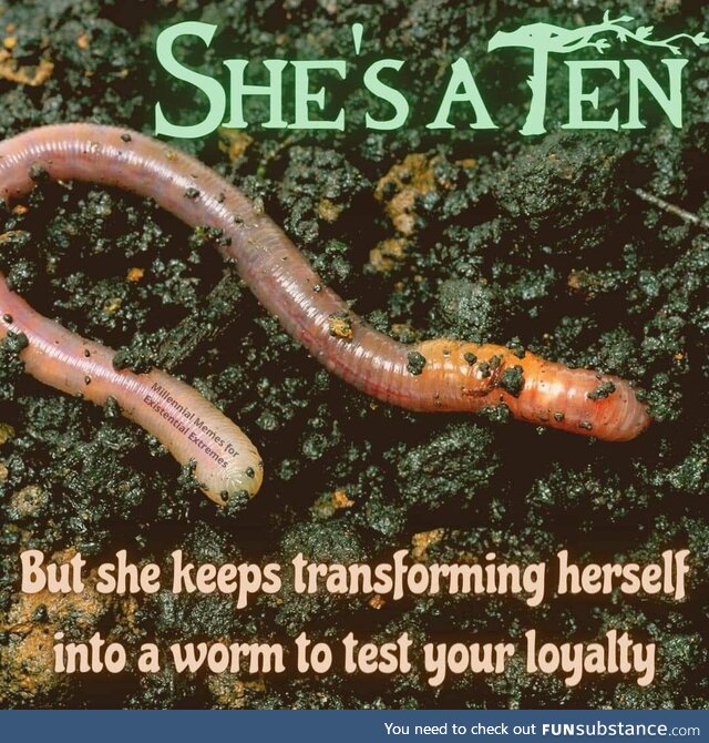 Are you loyal