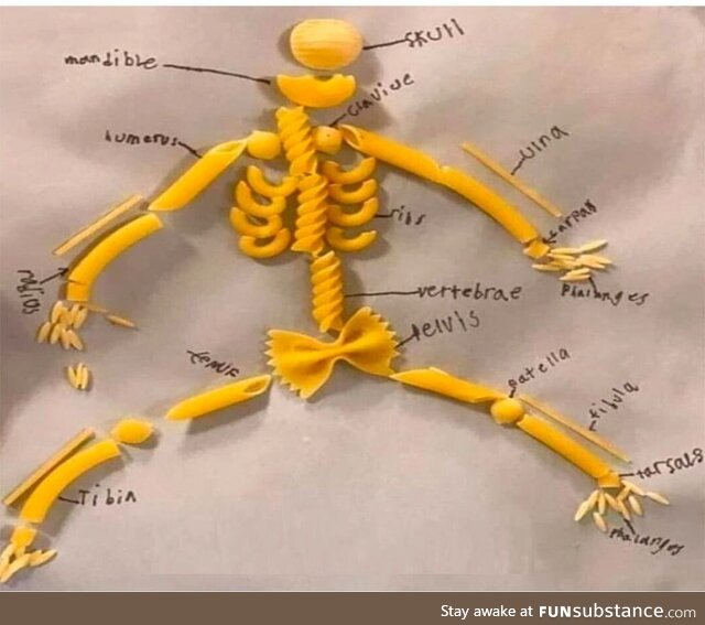 Anatomy of an Italian