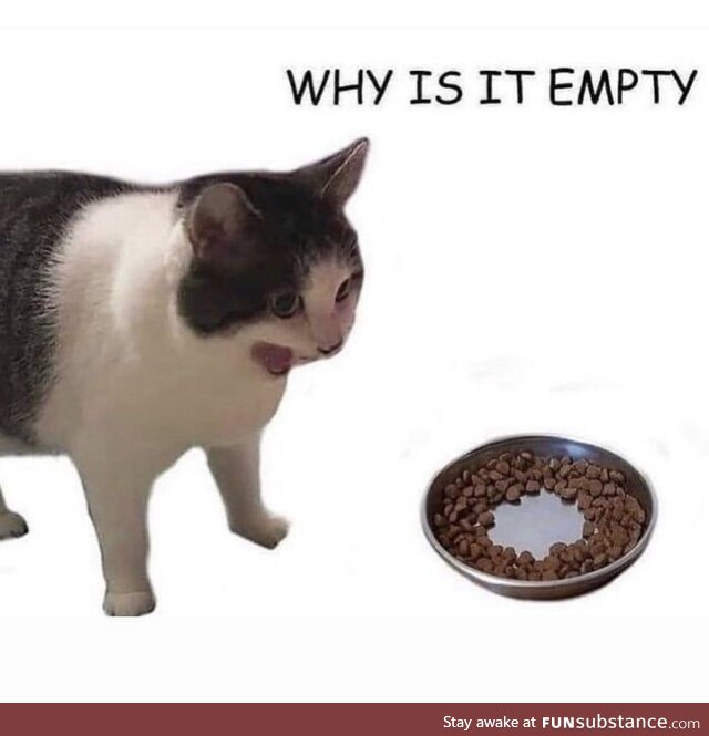 Feed me hooman