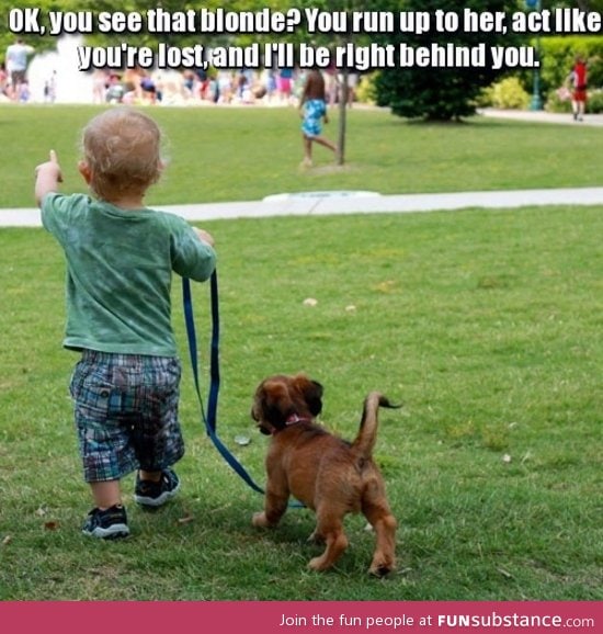How To Pick-Up Girls (Dog Version)