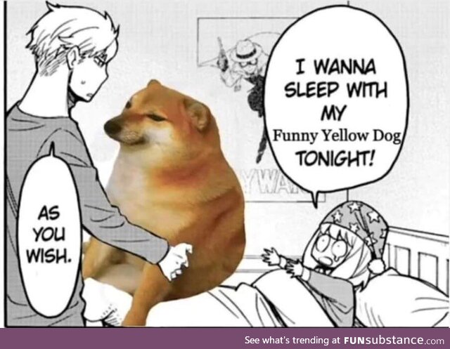DOGE