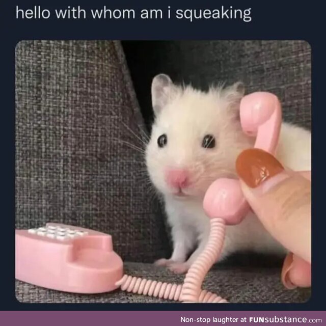 Squeak?