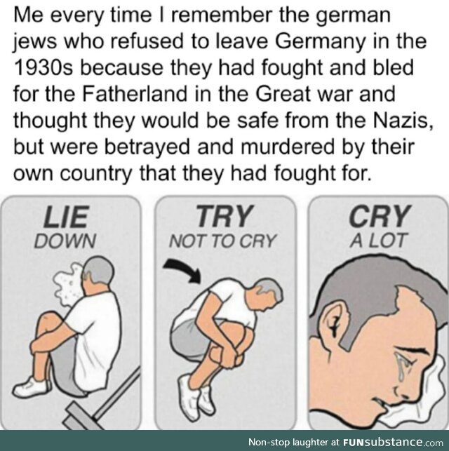 Nazi Germany, Jew meme