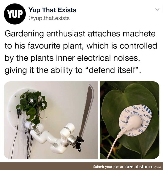 Now you know