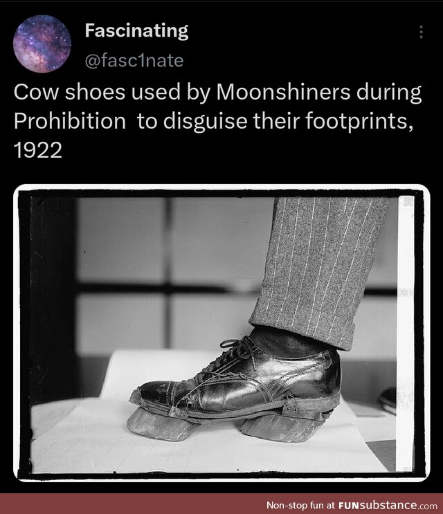 Helped you to moove stealthily