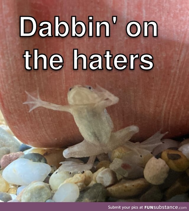 Froggos '23 #82 - Just a Dab of Sass