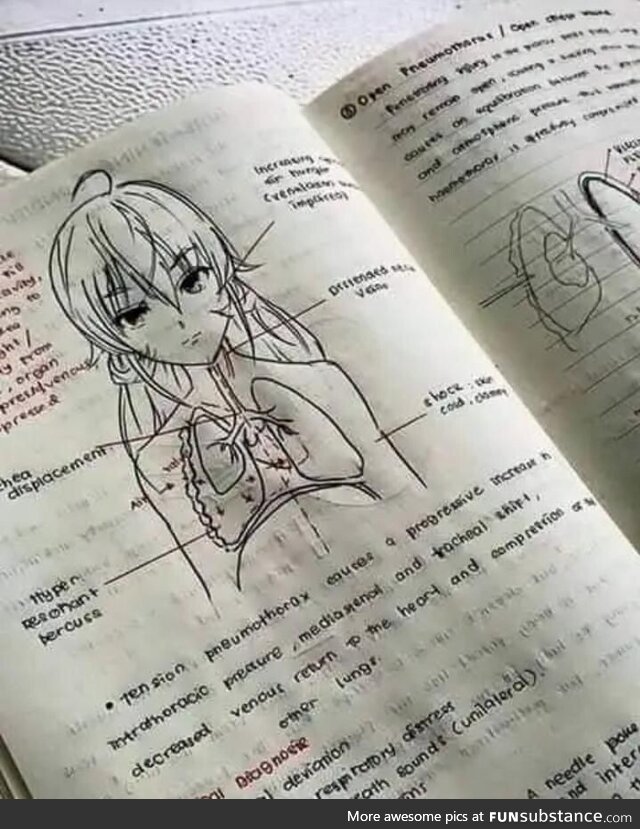 When you are a Med student but also an anime fan