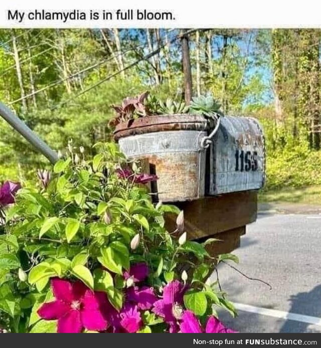 Wait what?