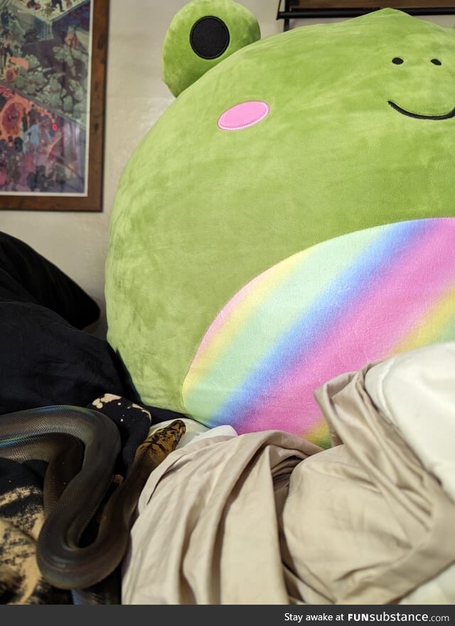 Froggos '23 #167 - Rainbow Frog Charms a Snek