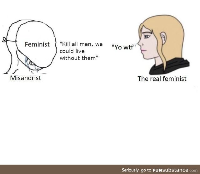 I feel like some people really need to know that feminism ≠ misandry