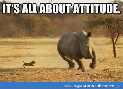 Dream big!