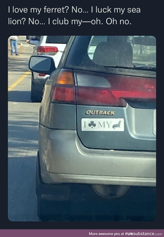 A questionable bumper sticker