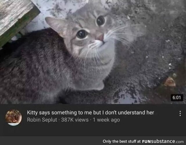 Oh no :(