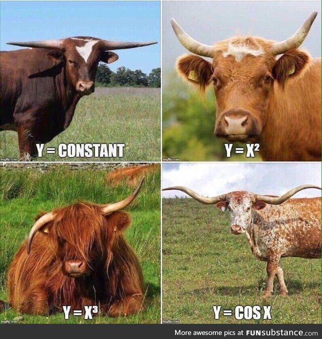 Now, this is how to teach maths