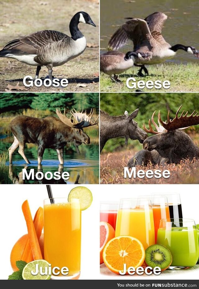 English makes sense