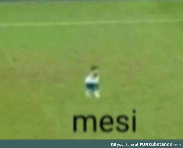 mesi