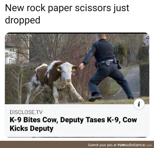 That cow is ready to fight