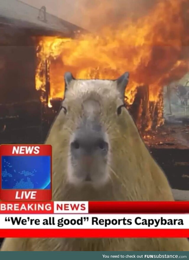Mostly peaceful conflagration