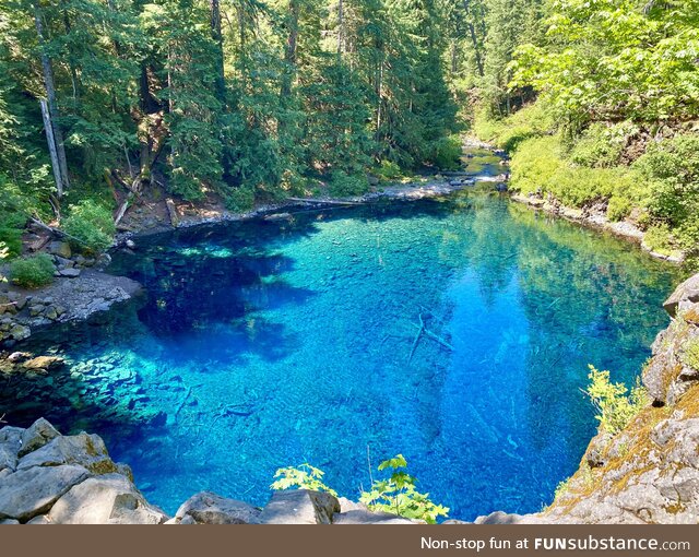 Tamolitch Blue Pool in Oregon