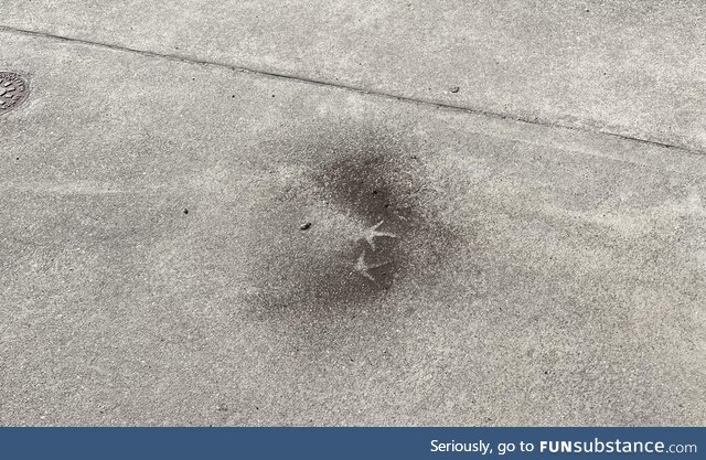 I think one of my chickens was involved in an explosion…