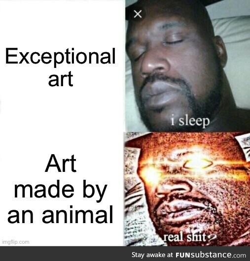 You’re telling me a pig did that?