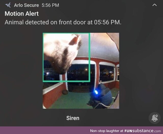 Moments before I made my friend shit his pants, thanks to my doorbell