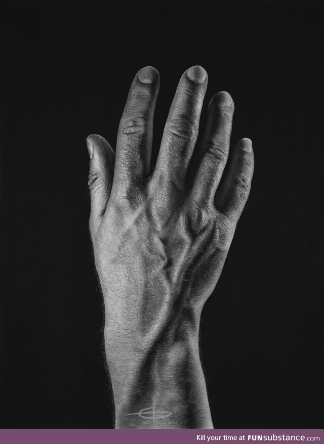 This is my latest pencil drawing – by far the most challenging thing I've ever done