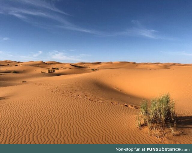 The Sahara is a desert on the African continent