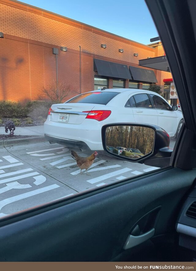 I knew Chick-fil-a chicken was fresh but I had no idea