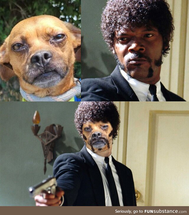 Is this dog I found on Petfinder giving anyone else seriously major Jules Winnfield