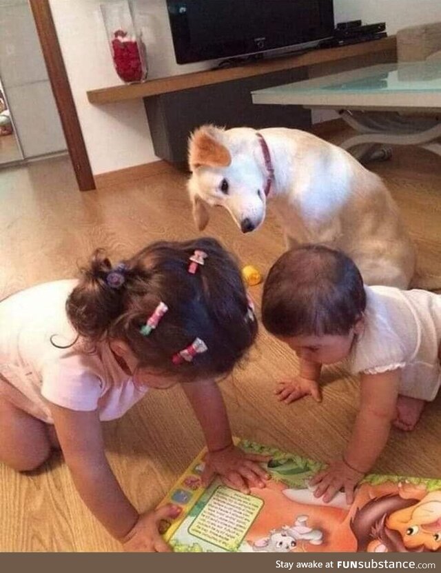 None of them can read...But they're doing their best!