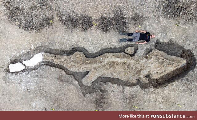 180 million year old giant ichthyosaur fossil in the U.K