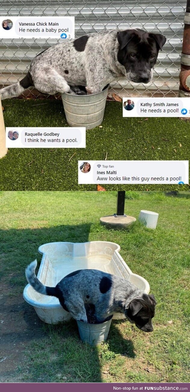 I just want to bucket