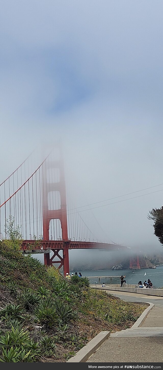 Golden Gate in the fog