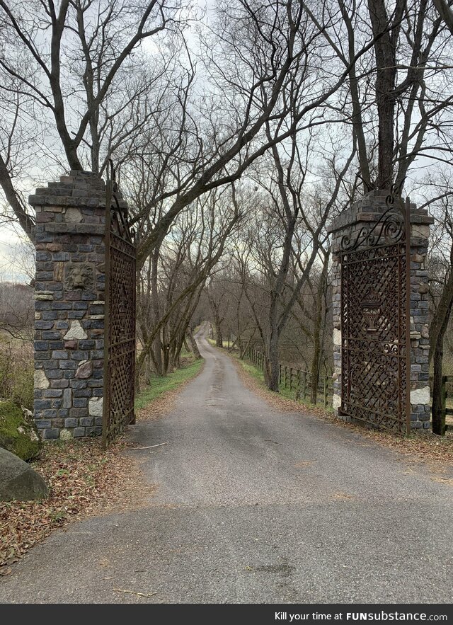 Cool gate I passed by