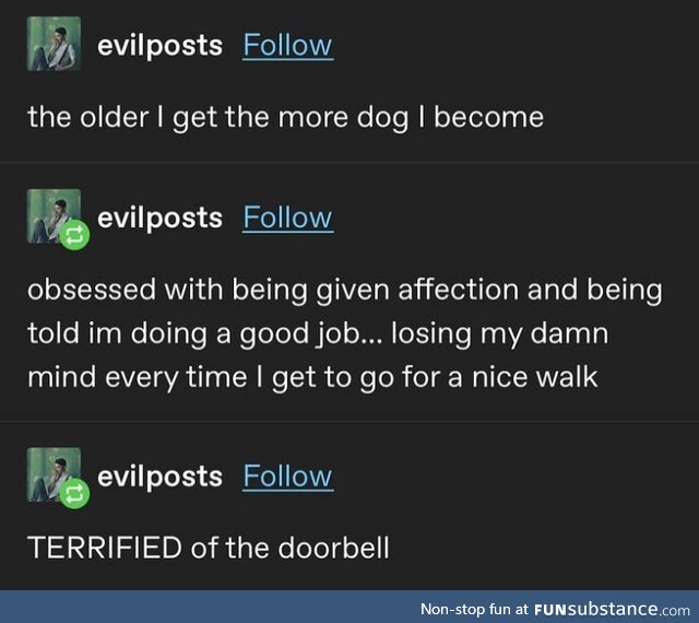 Doggo
