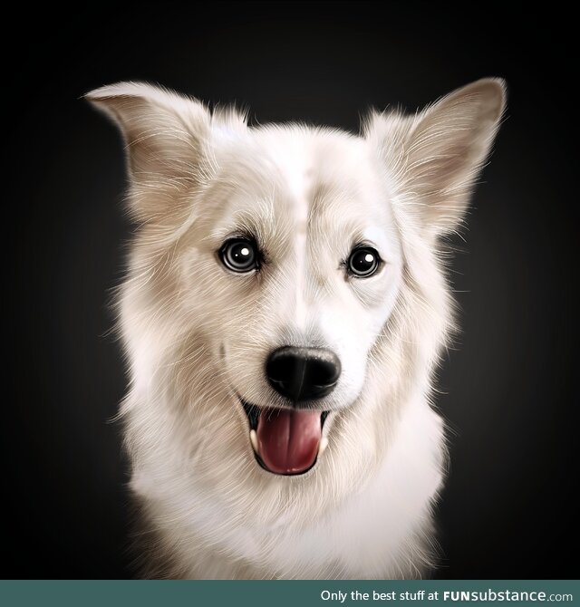 I recently drew this beautiful dog