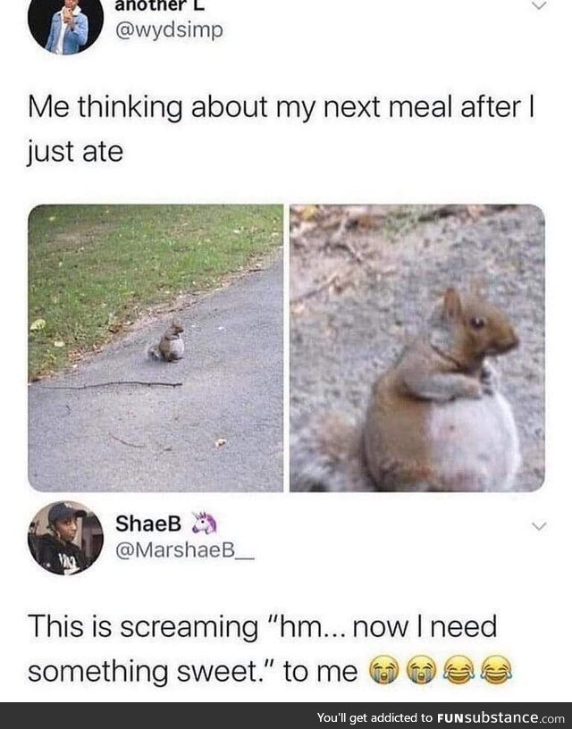 Chonky