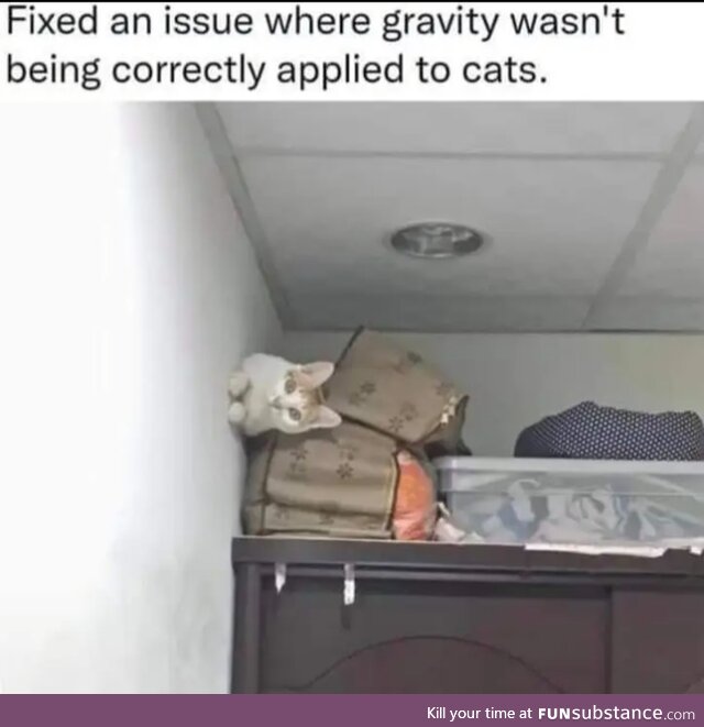 Caaaat!
