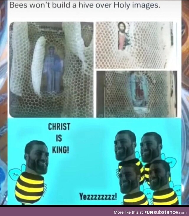 Bee